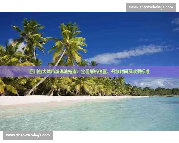 体育官网官网入口全面解析与最新资讯服务全指南