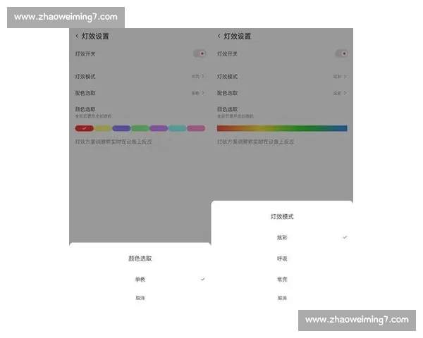 体育官网入口全新体验指南助力玩家轻松开启竞技之旅
